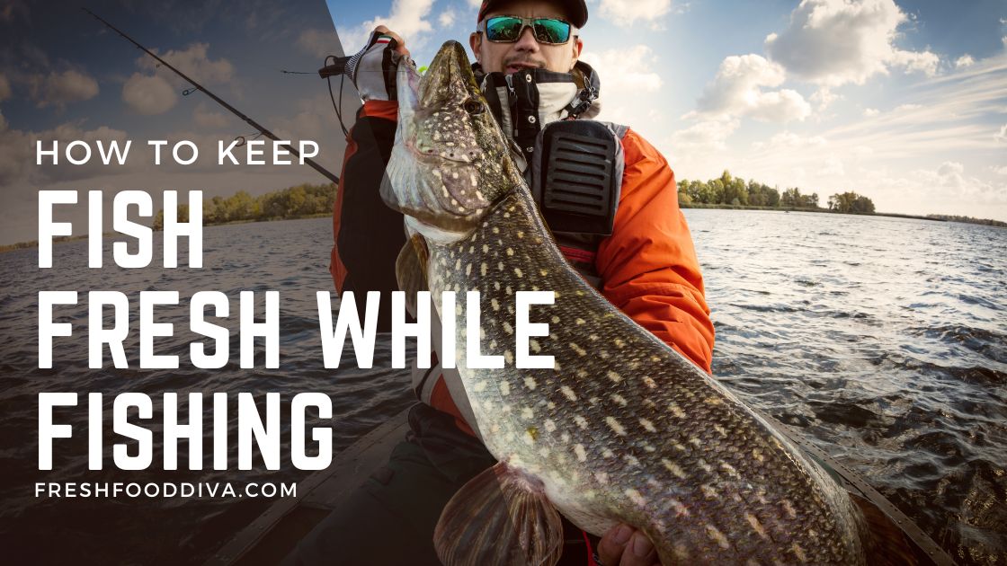 How to Keep Fish Fresh while Fishing