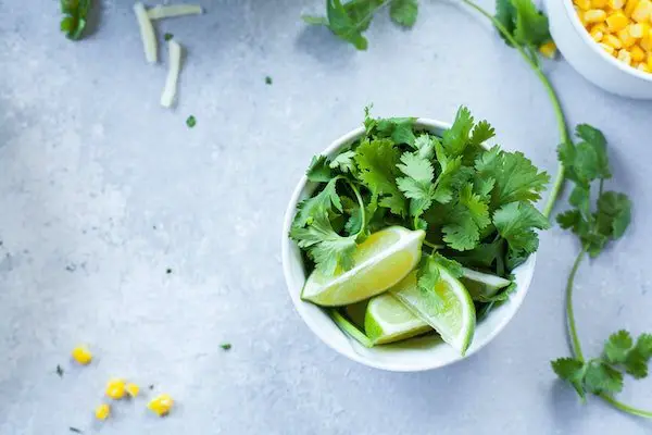 Cold and moist environment keeps cilantro fresh. how to store cilantro