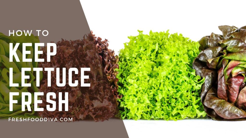 How To Keep Lettuce Fresh 8 Steps