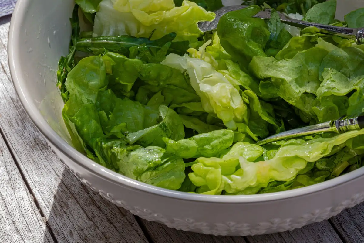 How To Keep Lettuce Fresh 2 4