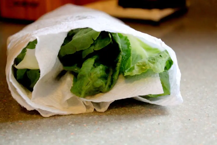 How to Keep Lettuce Fresh pic 1 2