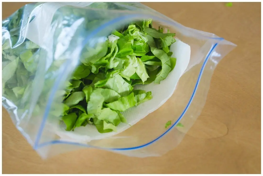 How to Keep Lettuce Fresh pic 1 5