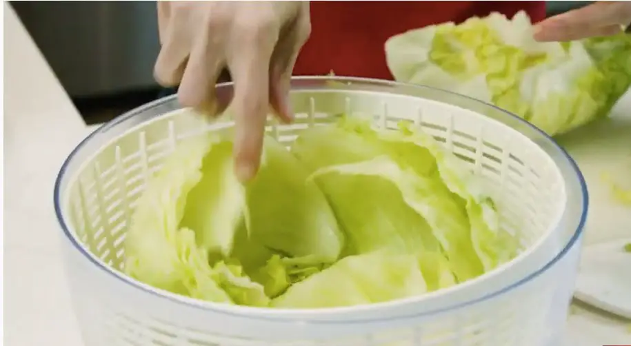 How to Keep Lettuce Fresh 1