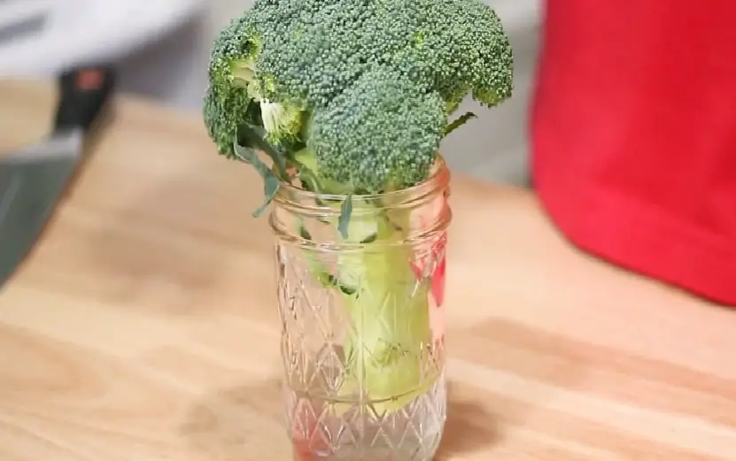 How To Keep Broccoli Fresh