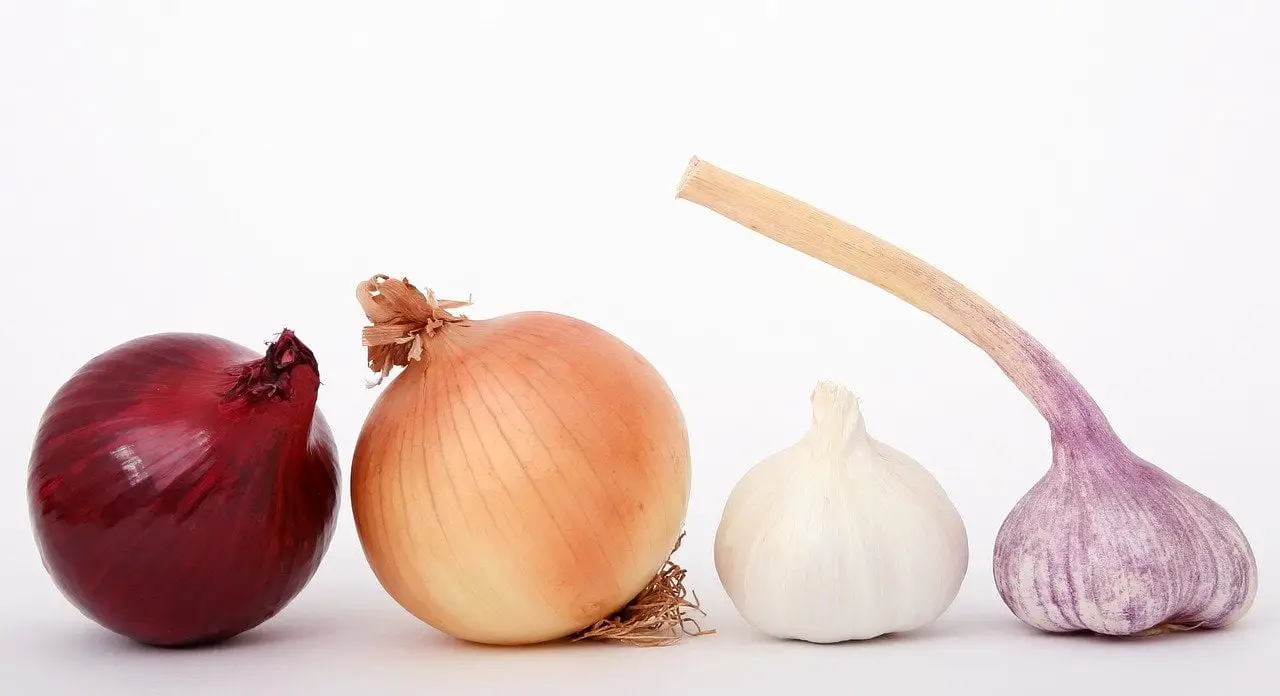 how to keep onions fresh