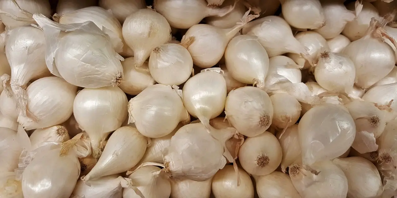 pearl onions